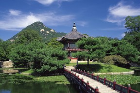 世界板球女性参与推动计划：社区试点报告，世界板球锦标赛