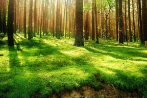 世界皮划艇公开赛：赛道调整考验选手应变，2021年世界皮划艇锦标赛