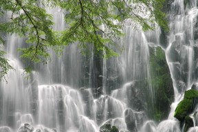 世界游泳锦标赛：接力项目成看点，世界游泳锦标赛游戏