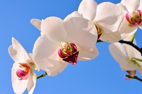 世界马拉松医疗救援中心建设进展通告，马拉松 世界